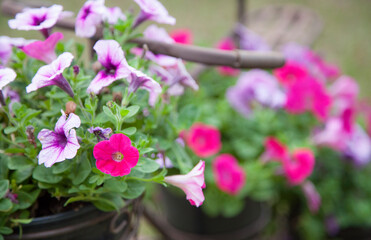 Flowers at country-style wedding in backwoods of Florida.