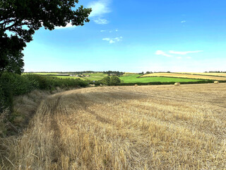 Landscape, with a cornfield, trees, and fields in the distance, late afternoon in, Harewood, Leeds, UK