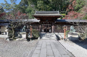 Naklejka premium 長等神社 本殿 滋賀県大津市