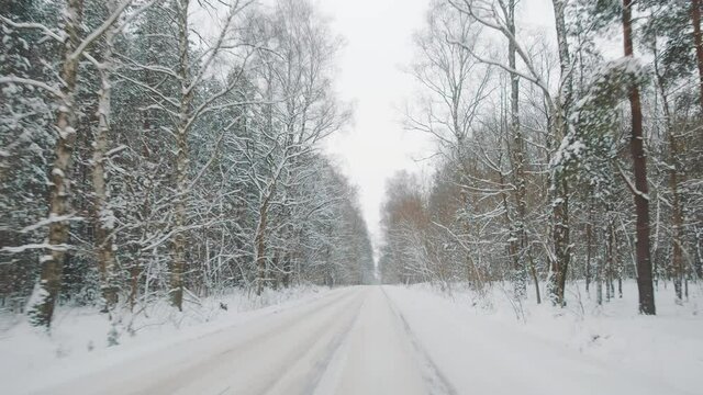 Winter travel. Point of view shot from the car driving on the road covered in snow surrounded by tall trees. High quality 4k footage