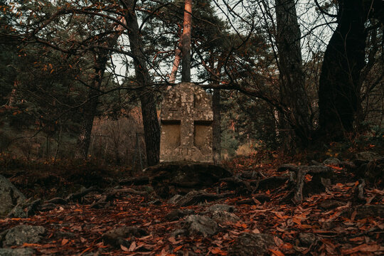 l&radic;&deg;pida en medio del bosque