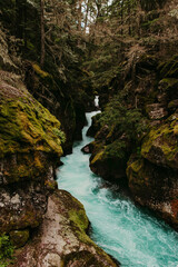 Avalanche Creek in Glacier National Park Montana