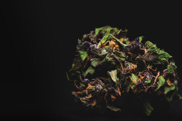 Purple Haze Cannabis Marijuana Dry Buds