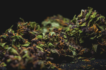 Purple Haze Cannabis Marijuana Dry Buds