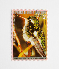 Guinea Republic Postage Stamp. circa 1972. Bird Series. Colibri 