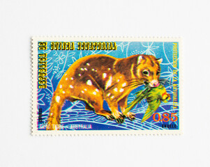 Guinea Republic Postage Stamp. circa 1974. Australian Animals. dasyurus maculatus, tiger quoll.