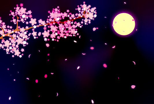 月夜の桜が舞う景色