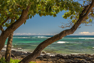 Fototapeta na wymiar USA, Hawaii, Kauai. Lawai Beach and ocean.