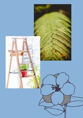 Composition of photos of fern and plant stand on blue background with flower