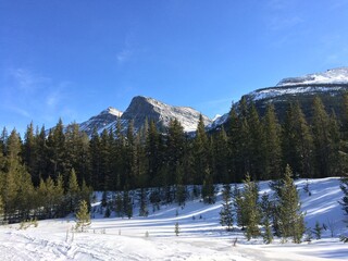 Shot taken in the Canadian Rockies on a unusually warm day
