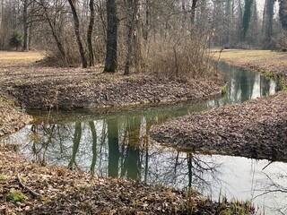 Drainage canal little Reuss (Entwässerungskanal Kleine Reuss) in the natural protection zone...