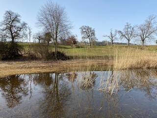 Natural landscape during late winter in the natural protection zone Aargau Reuss river plain...