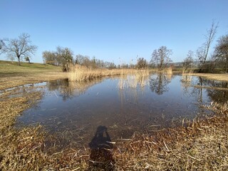 Natural landscape during late winter in the natural protection zone Aargau Reuss river plain...
