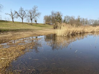 Natural landscape during late winter in the natural protection zone Aargau Reuss river plain...