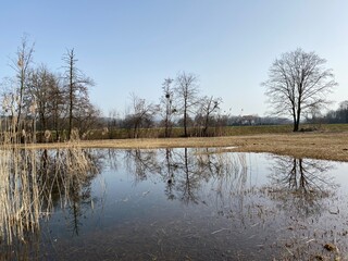Natural landscape during late winter in the natural protection zone Aargau Reuss river plain...