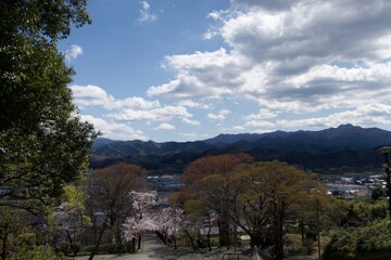 Fototapeta premium 高台から見る景色