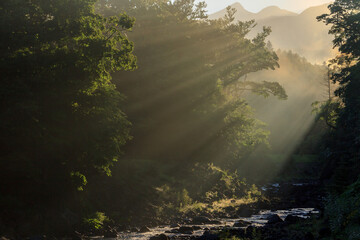 知床　岩尾別川の光芒