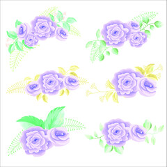 Set of purple rose with leaves bouquets floral vector