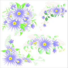 Fototapeta na wymiar Set purple daisy bouquets floral vector
