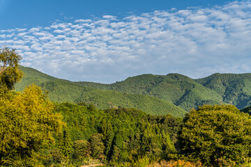 緑の山並みと鱗雲　静岡県島田市川根町