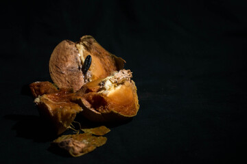 Loquat fruits