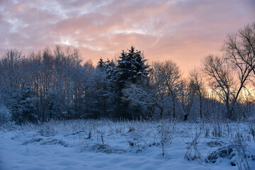 It's wintertime, trees in the garden covered with snow. Morning and sunrise background. 