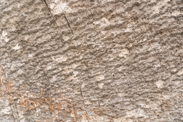 Background in the form of a pontic oak