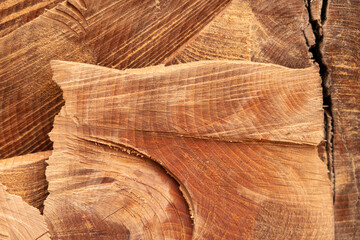 Background in the form of a pontic oak