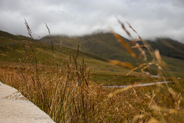 tafi del valle