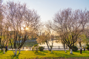 Spring scenery of Yuehu Park in Hanyang, Wuhan, Hubei, China