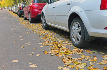 Long row of cars parked on the edge of the street