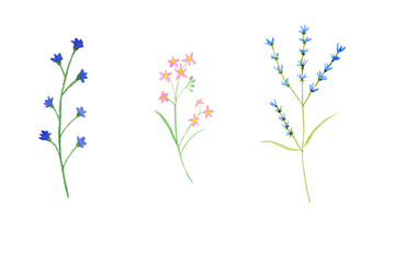 Watercolor illustration art design, Set of colorful flowers in watercolor hand pianting style isolated on white background, pattern element for invitation greeting card