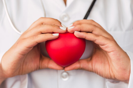 A female doctor wearing a lab coat while holding a red heart in her hands 