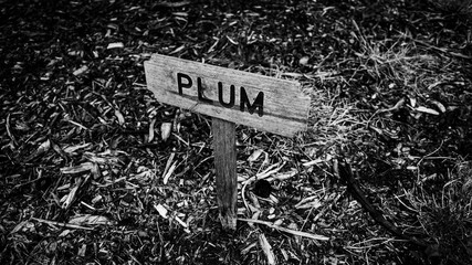Wooden plum sign