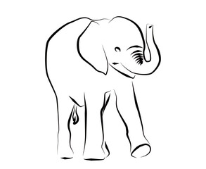 子象のラインイラスト