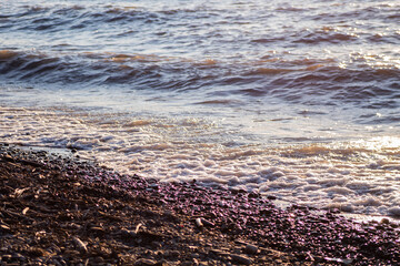 Sunny rocks near the water