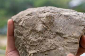 Natural frodo stones with beautiful shape and textures for gardening layout or aquatic plants tank layout