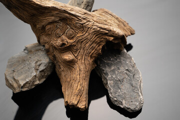 Natural frodo stones and driftwood with beautiful shape and textures for gardening layout or aquatic plants tank layout