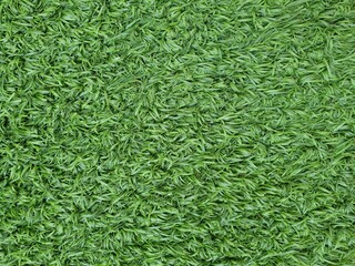 Top View of Green Grass Wall Pattern Backdrop. Artificial Green Grass Texture Background.