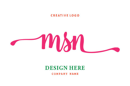 MSN lettering logo is simple, easy to understand and authoritative
