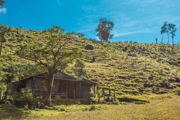 Log cabin in the middle of the field and green pasture on a sunny day with blue sky
