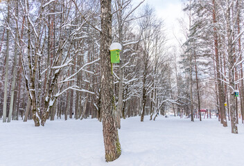 Snow Covered Forest in Winter in Latvia Bird House