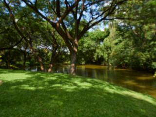 Fototapeta na wymiar Abstract blurred background of park.
