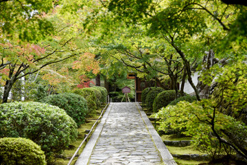 酬恩庵一休寺　参道　京都府京田辺市