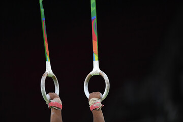  Gymnastic rings. Rings waiting for the gymnast to evolve. photo inside.