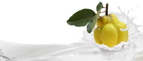 Quince fruit in a spray of cream.