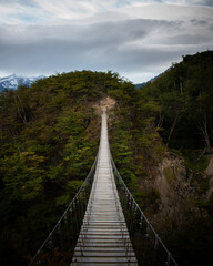 Fototapeta na wymiar A beautiful suspension bridge near of Grey glacier, in a forest