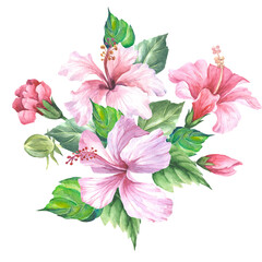pink hibiscus flower.watercolor