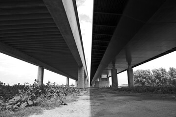 Ewijk Netherlands - 3 July 2020 - Tacitus Bridge over river Waal near Ewijk in the Netherlands