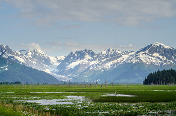 Alaska mountains near Placer River, Alaska